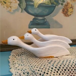 Gaggle of geese measuring spoons